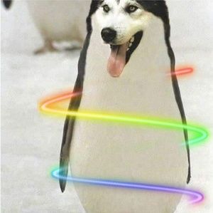 Meet your Posher, Marry